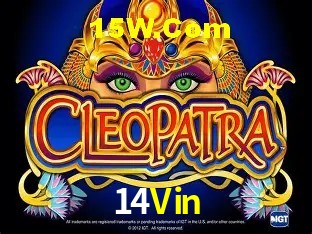 Experiência VIP 14Vin